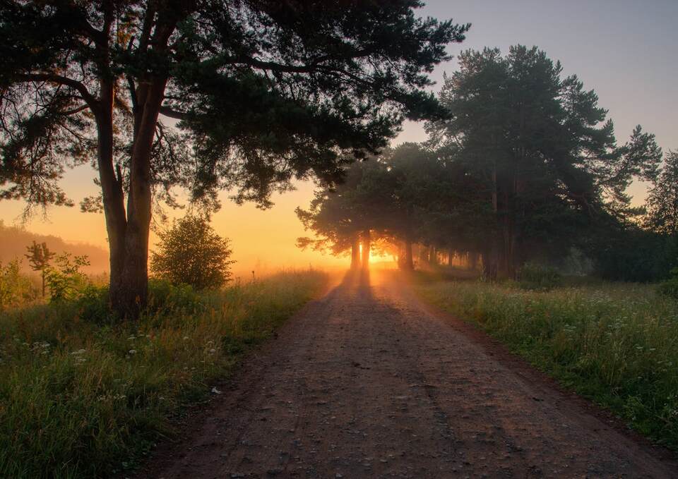 Peaceful country road at sunrise symbolizing compassionate Dayton, OR funeral home and cremation care