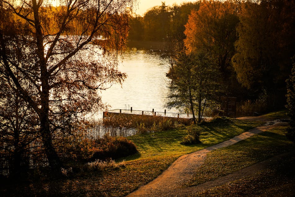 Peaceful lakeside pathway reflecting affordable funeral and cremation support in McMinnville, OR